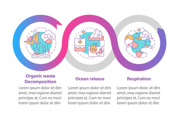 Visualizing the Carbon Cycle: Leveraging Natural CO2 Emissions Vector Infographics for Strategic Communication